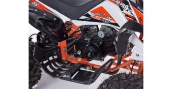 new-scorpion-004-r8-5-1024×683