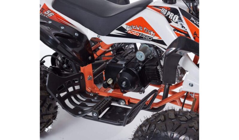 Quad NEW SCORPION R8 + Kit Primo Tagliando