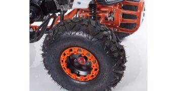 new-scorpion-004-r8-7-1024×683