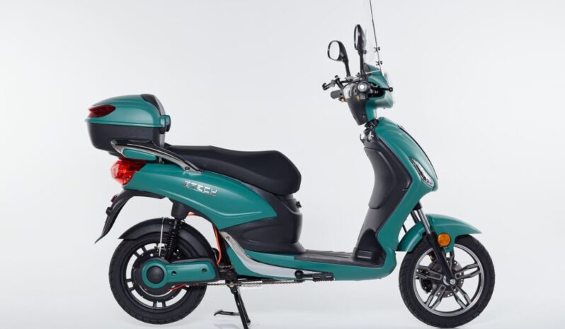 Bici Elettrica Scooter ZTECH – ZT-09FL