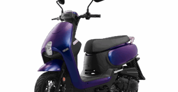 sym colibrì