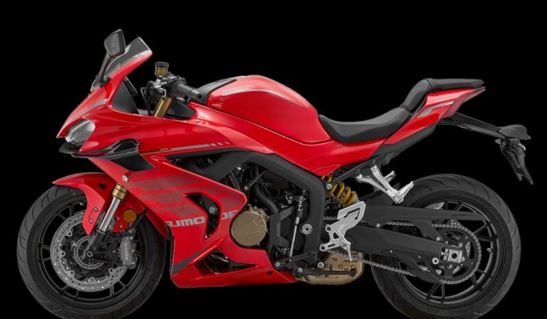 Qj Motor SRK 800 RR