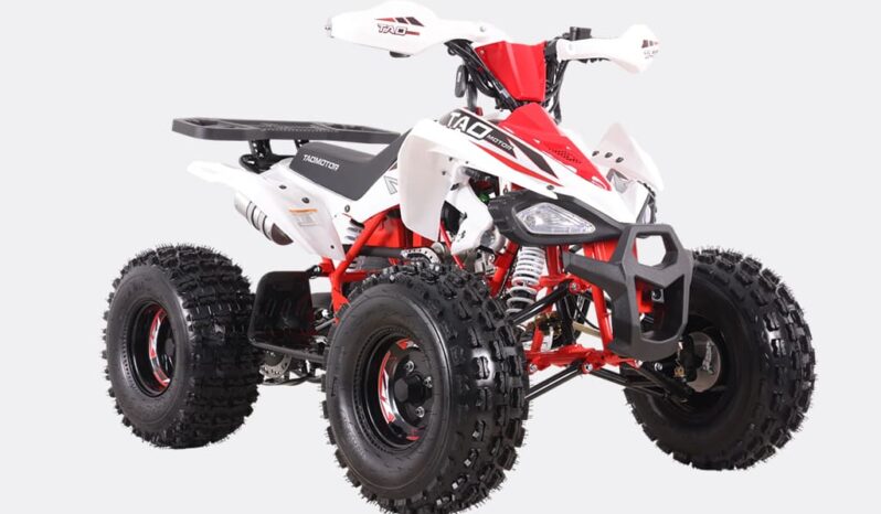 Ztech MiniQuad Cheetah 125