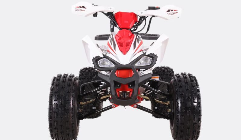 Ztech MiniQuad Cheetah 125