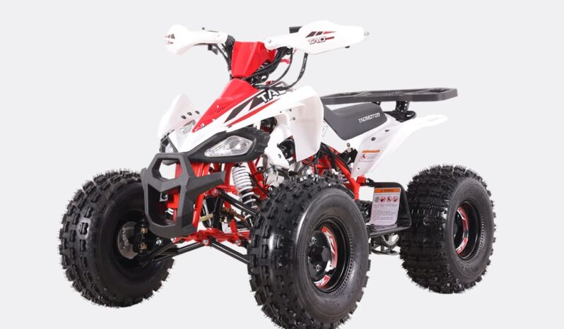 Ztech MiniQuad Cheetah 125