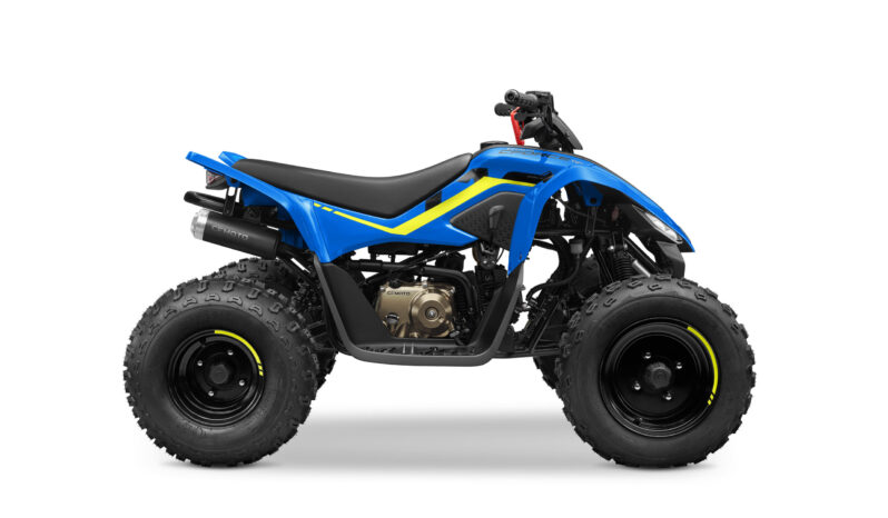 Cf Moto Cforce 110cc