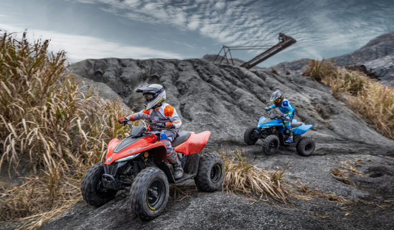 Cf Moto Cforce 110cc