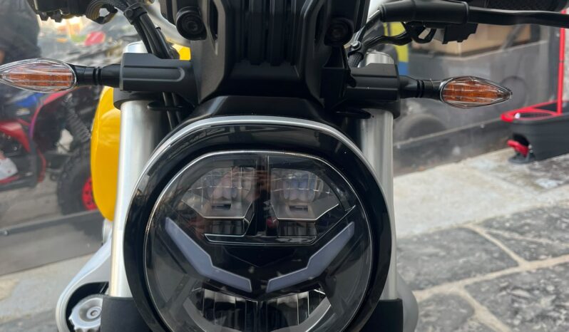 VOGE TROFEO 350 2024