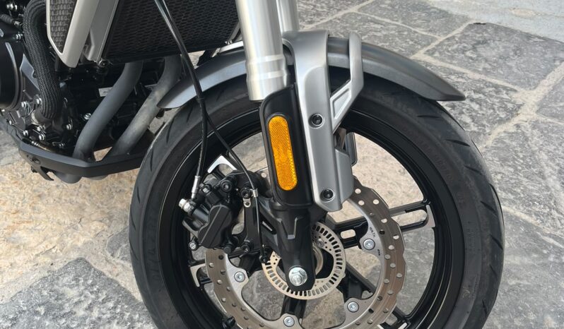 VOGE TROFEO 350 2024